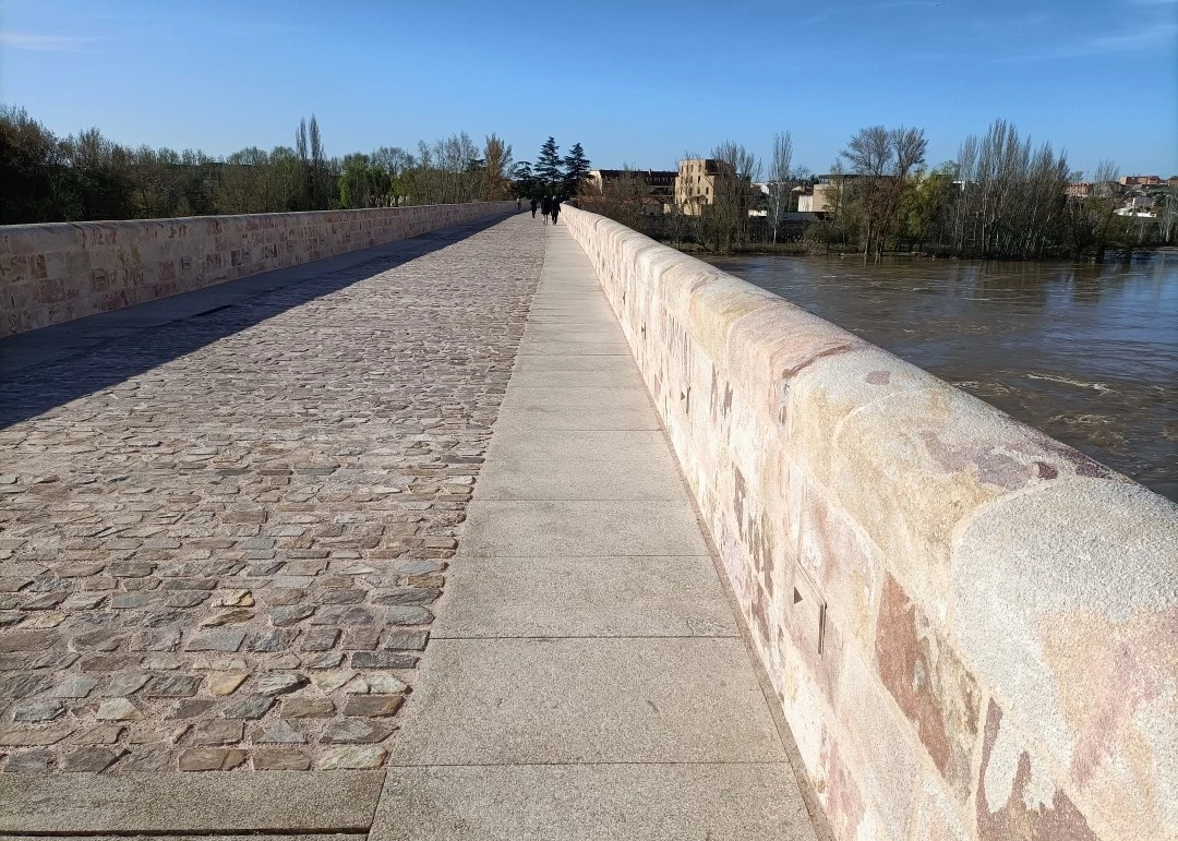 Pont de Pierre à Zamora (Espagne)