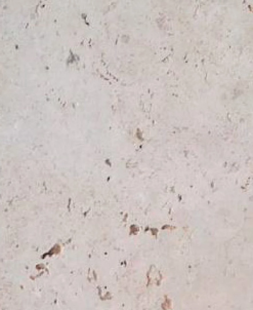 Caliza CARPEA